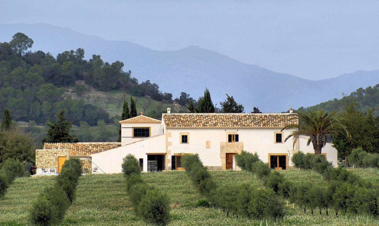 Agroturisme Gossalba Sant Joan Kültér fotó