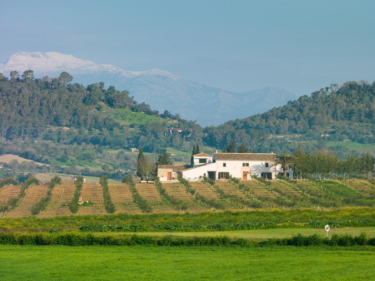 Agroturisme Gossalba Sant Joan Kültér fotó